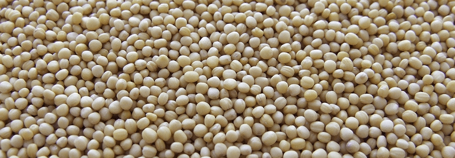 Properly Processed Express Soy Meal