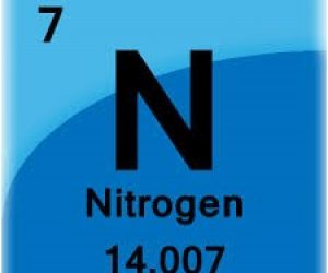 Image of Nitrogen in Blue Box from Periodic Table of Elements