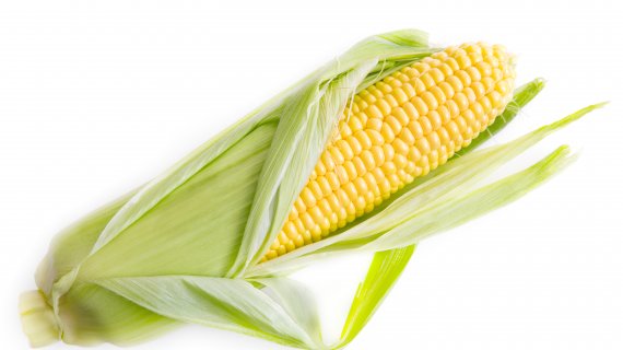 Corn Cob