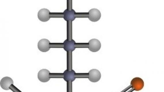 Lysine