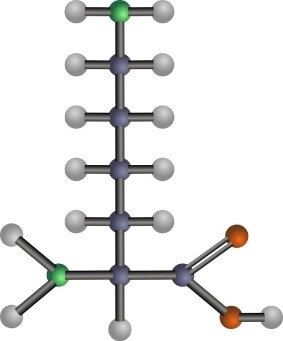 Lysine