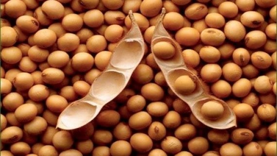 Soybeans