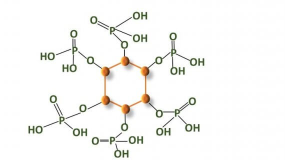 PHYTATE-PHOSPHORUS