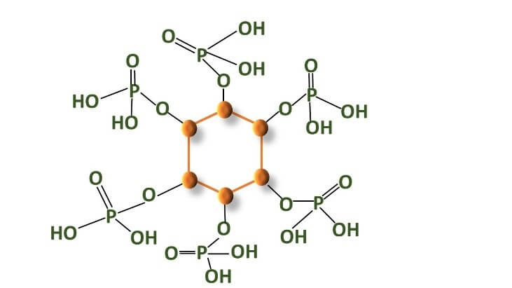 PHYTATE-PHOSPHORUS