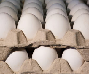 global egg production