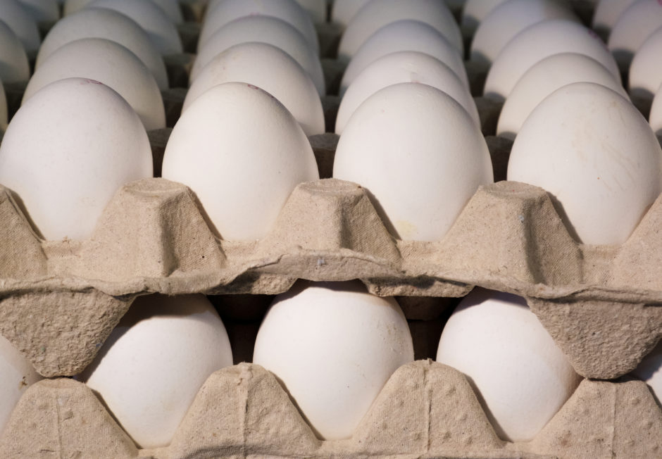 global egg production